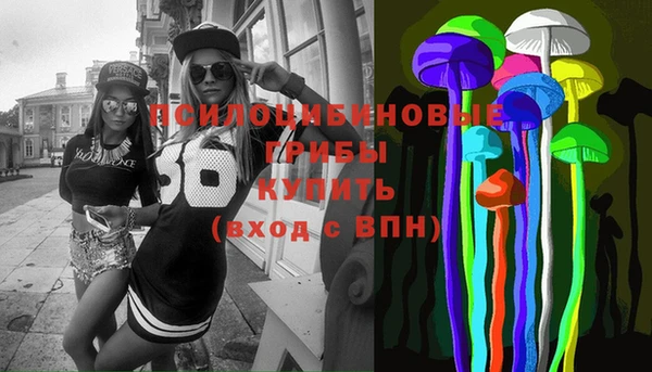 ECSTASY Белокуриха