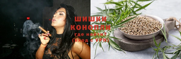 ECSTASY Белокуриха