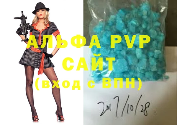 ECSTASY Белокуриха